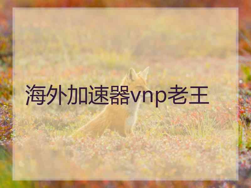 海外加速器vnp老王