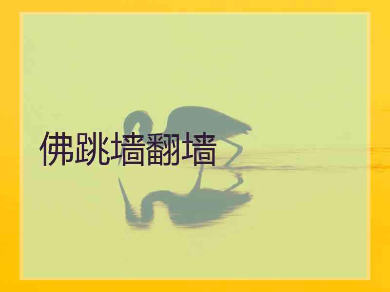 佛跳墙翻墙