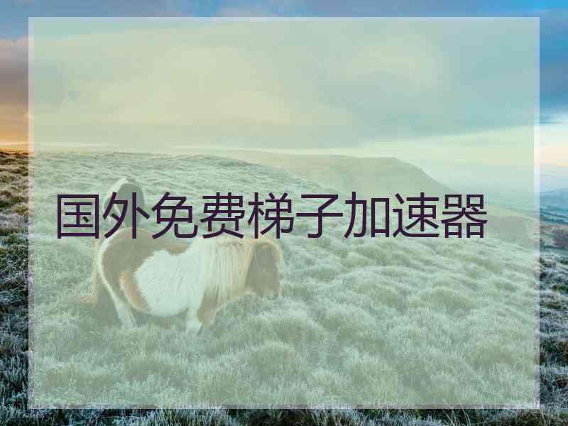 国外免费梯子加速器