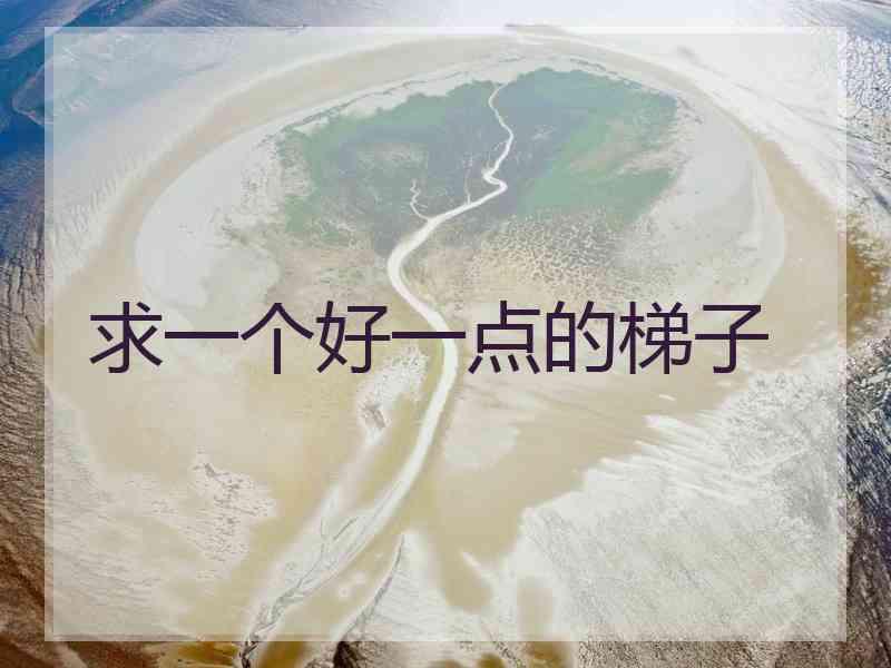 求一个好一点的梯子