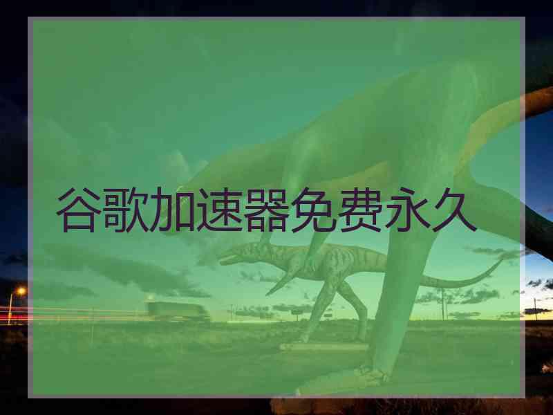 谷歌加速器免费永久