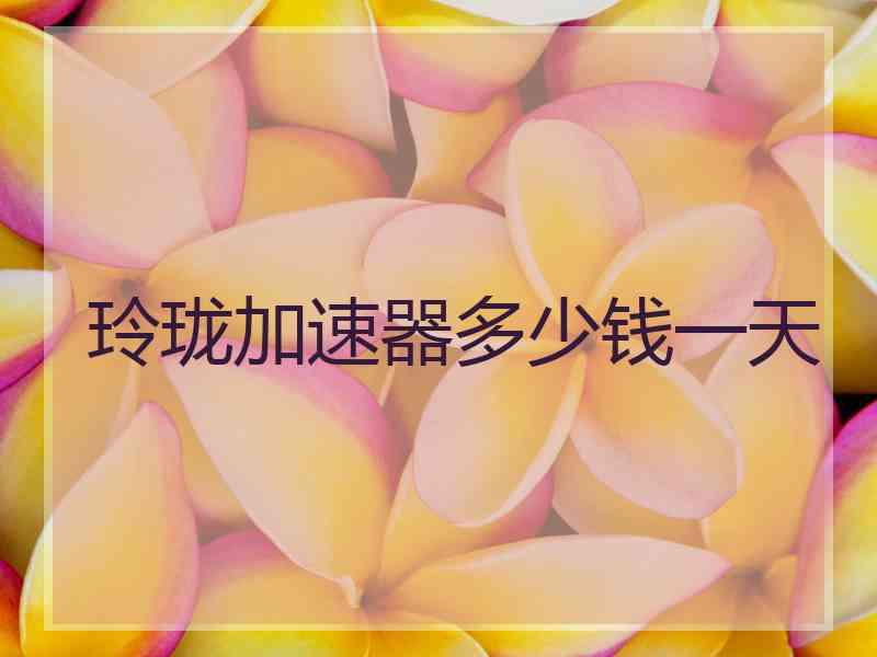 玲珑加速器多少钱一天