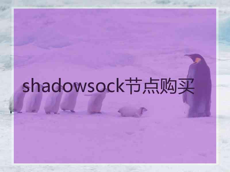 shadowsock节点购买