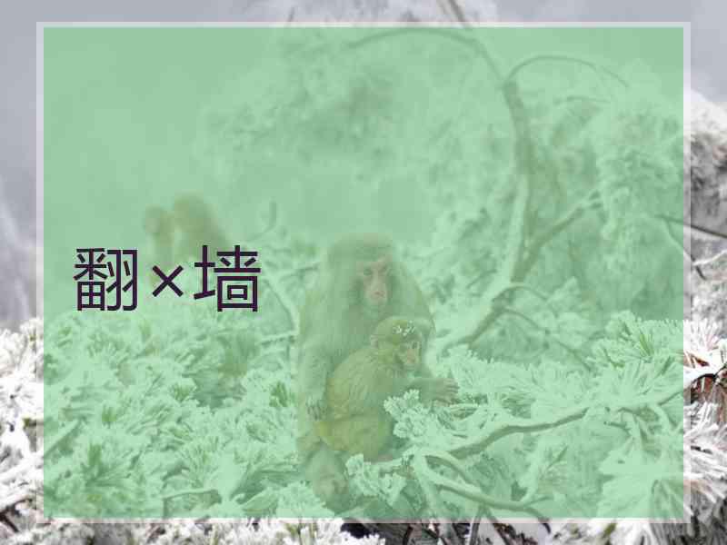 翻×墙