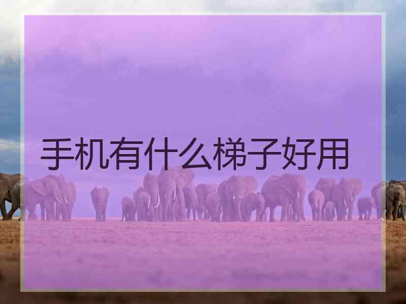 手机有什么梯子好用
