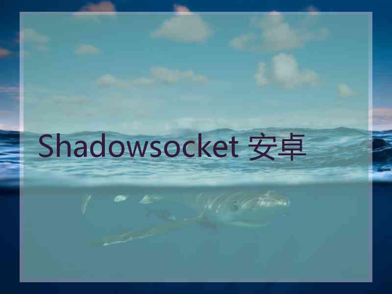Shadowsocket 安卓