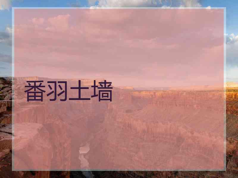 番羽土墙