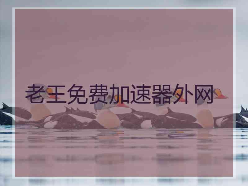 老王免费加速器外网