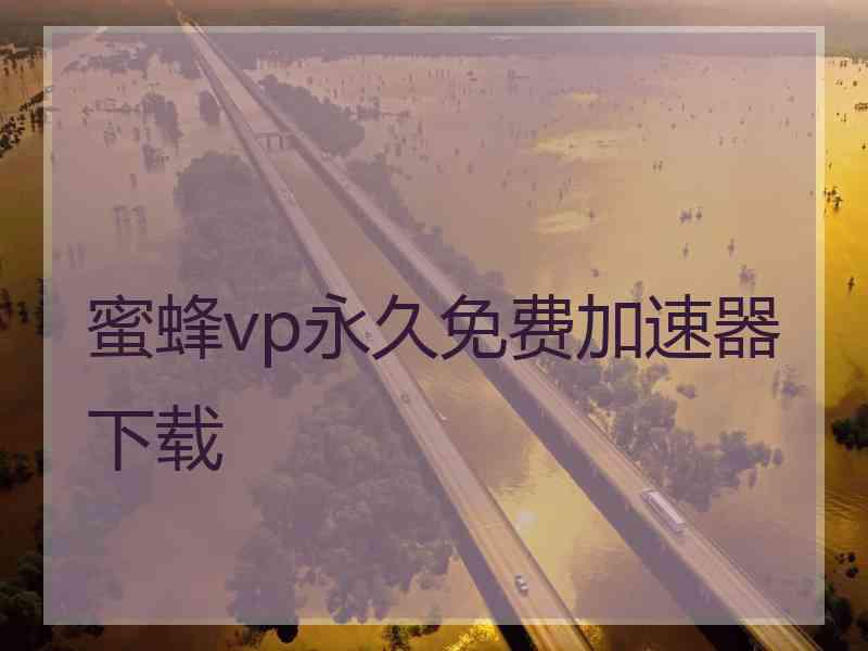 蜜蜂vp永久免费加速器下载