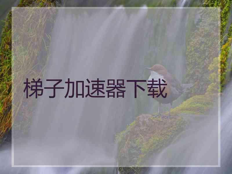 梯子加速器下载