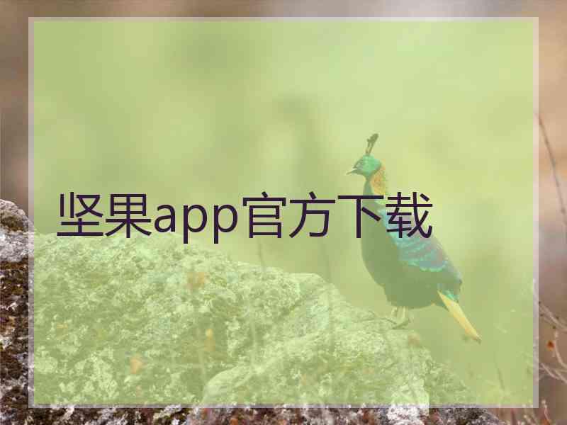 坚果app官方下载