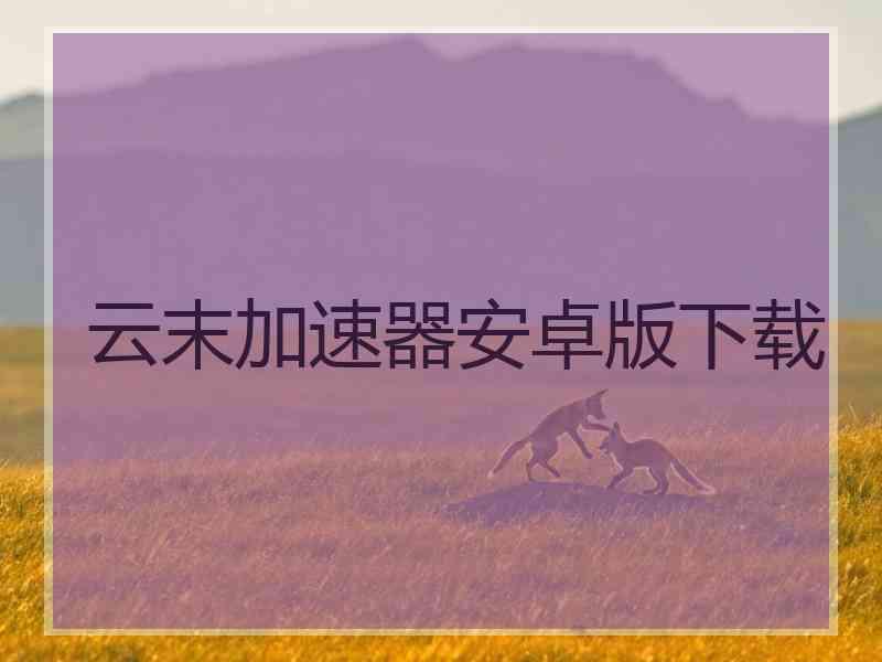 云末加速器安卓版下载