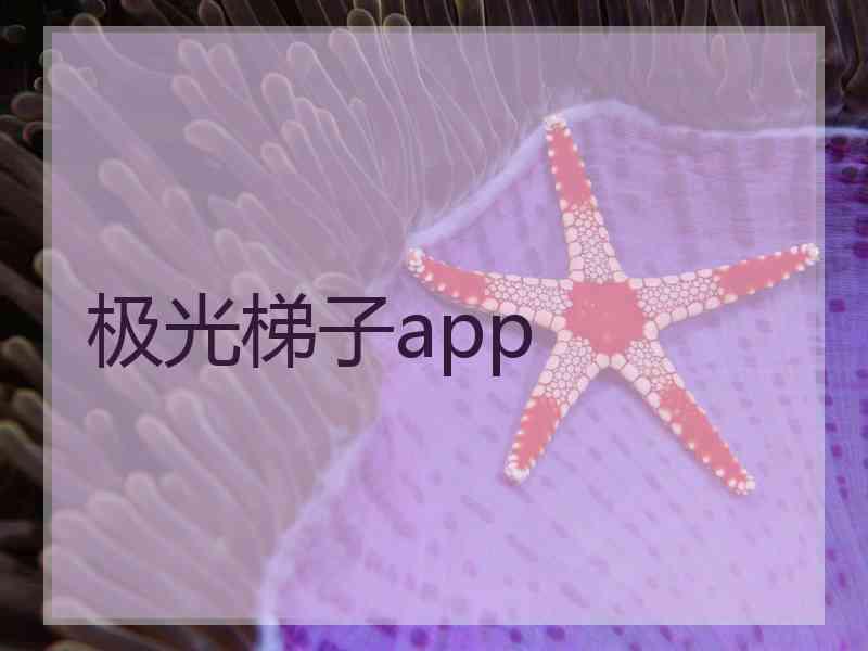 极光梯子app