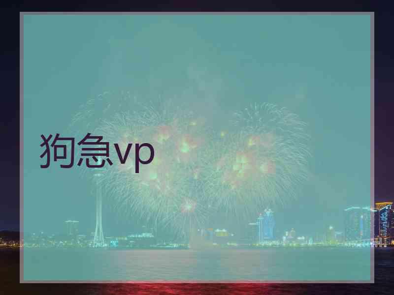 狗急vp