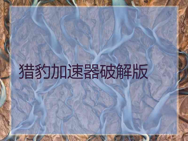猎豹加速器破解版