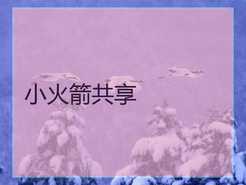 小火箭共享