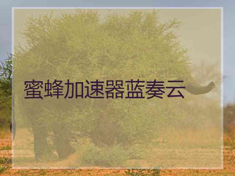 蜜蜂加速器蓝奏云