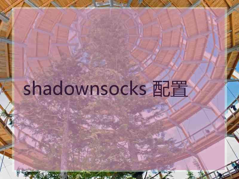 shadownsocks 配置