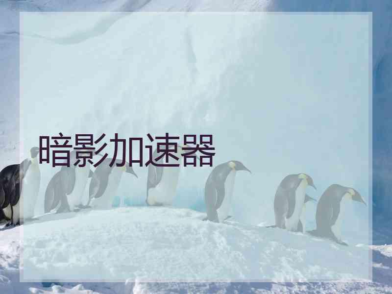 暗影加速器