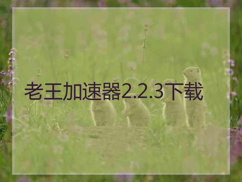 老王加速器2.2.3下载