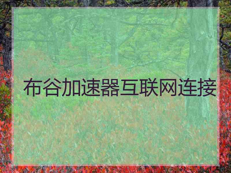 布谷加速器互联网连接