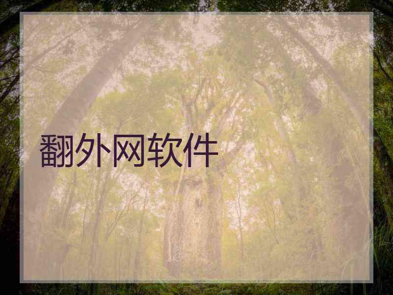 翻外网软件