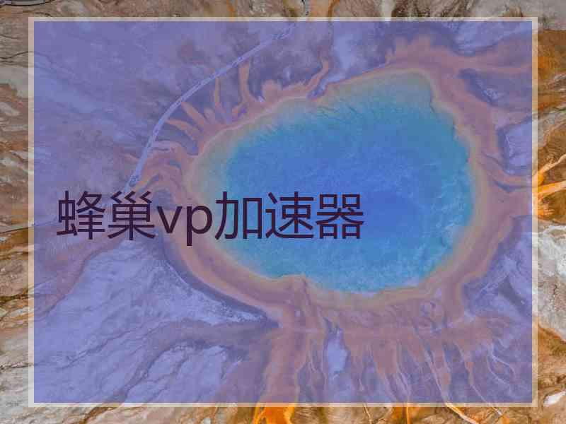 蜂巢vp加速器