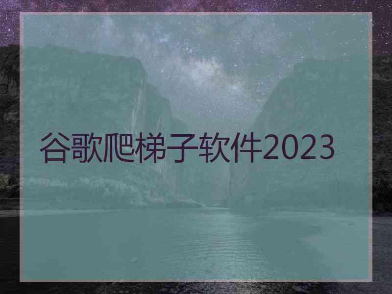 谷歌爬梯子软件2023