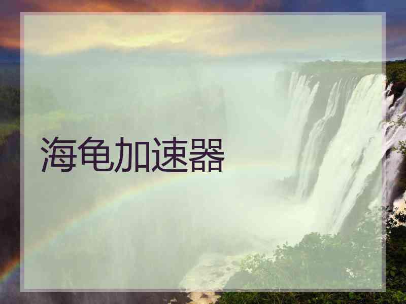 海龟加速器