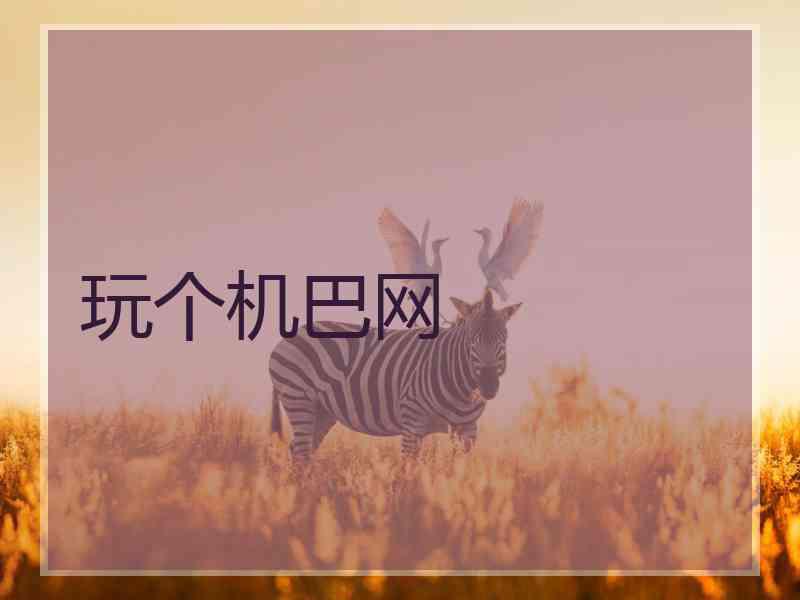 玩个机巴网