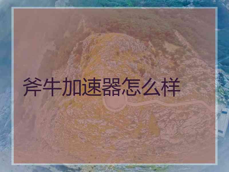 斧牛加速器怎么样