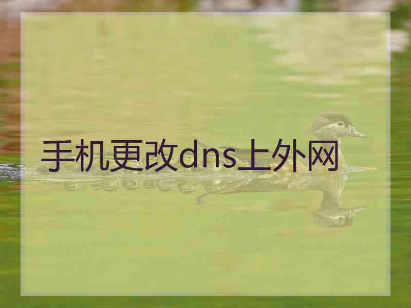 手机更改dns上外网