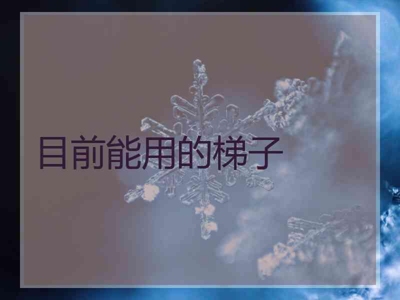 目前能用的梯子