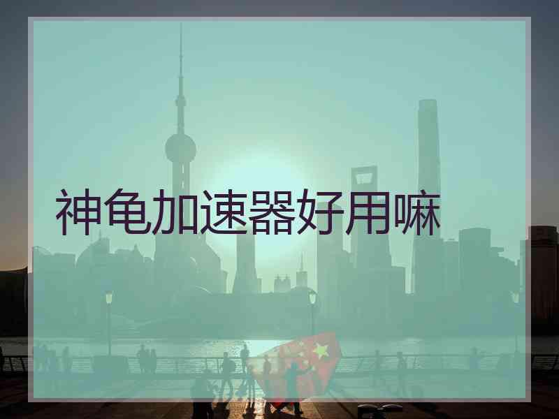 神龟加速器好用嘛