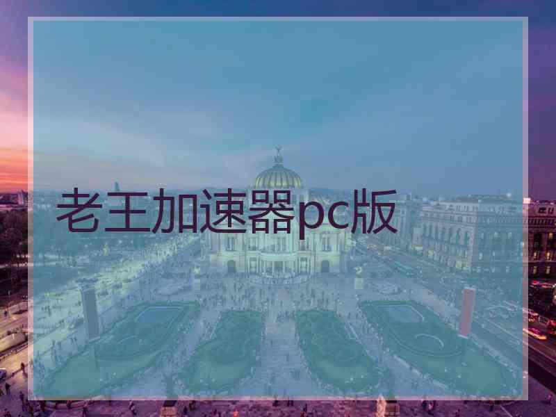 老王加速器pc版