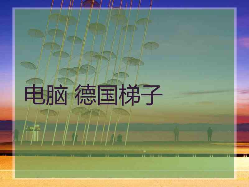 电脑 德国梯子