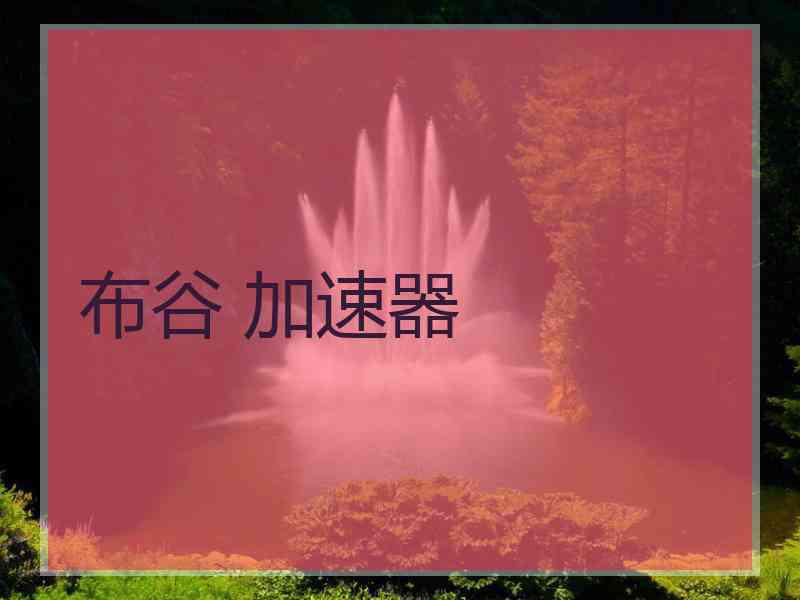 布谷 加速器
