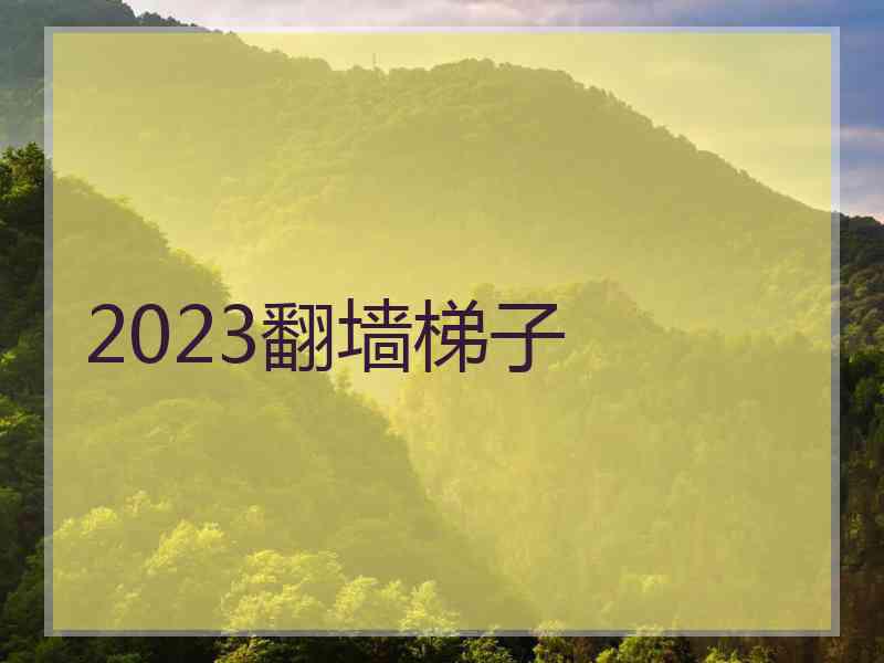 2023翻墙梯子