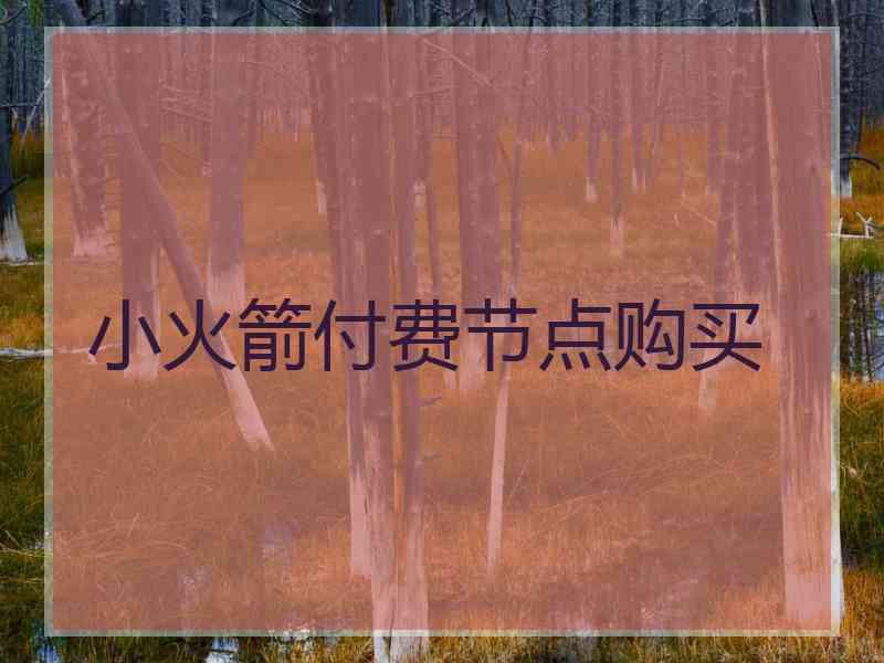 小火箭付费节点购买