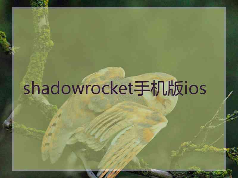 shadowrocket手机版ios