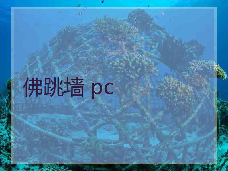 佛跳墙 pc