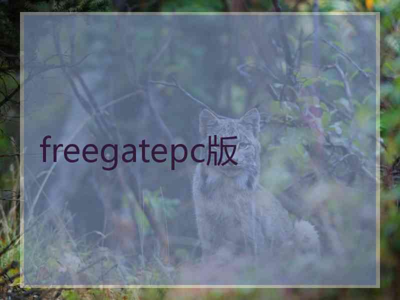 freegatepc版