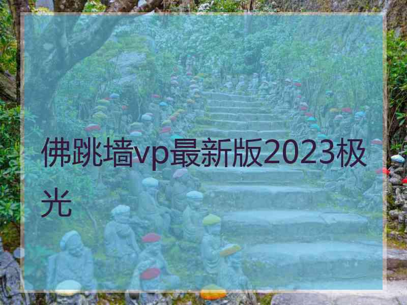佛跳墙vp最新版2023极光