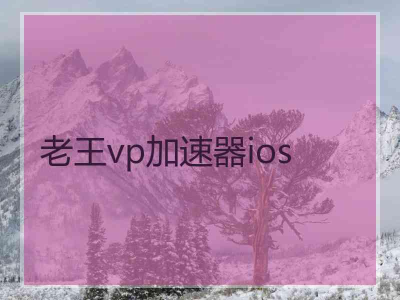老王vp加速器ios