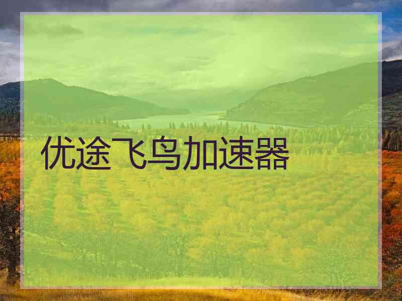 优途飞鸟加速器
