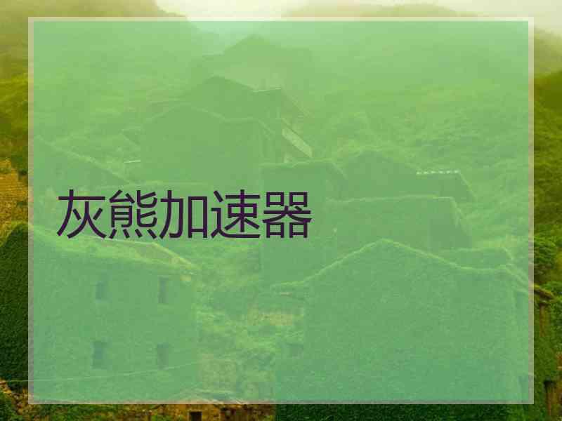 灰熊加速器