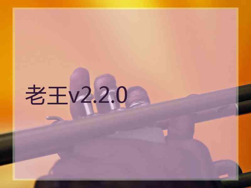 老王v2.2.0