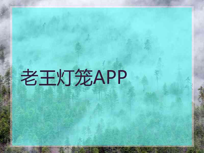 老王灯笼APP