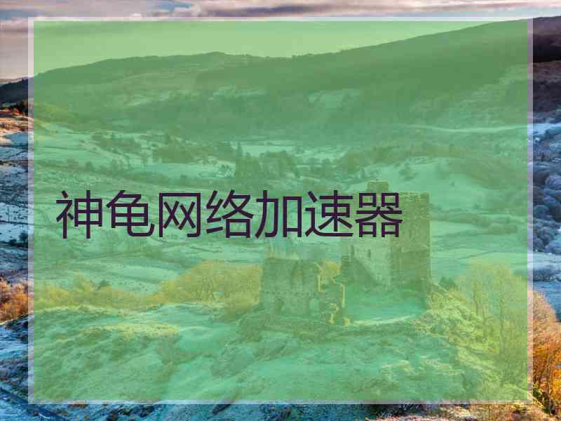 神龟网络加速器