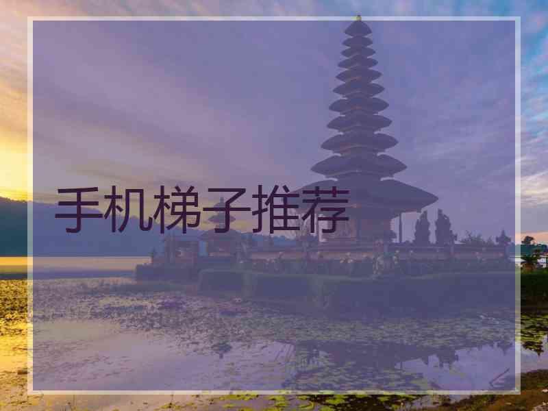 手机梯子推荐
